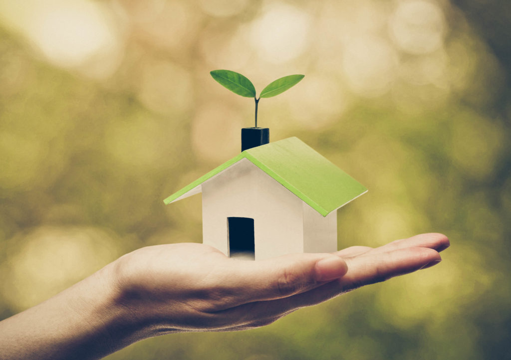 Hand holding a small green house with a young green plant growing on the roof / Ecohouse concept